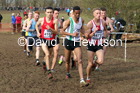 Senior men, 2020 British Athletics Inter Counties Cross Country Champs., Prestwold Hall, Loughborough. Photo: David T. Hewitson/Sports for All Pics
